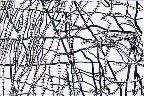 Natalia Blanch, Minimal Drawings