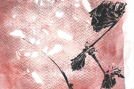 Natalia Blanch, Minimal Drawings