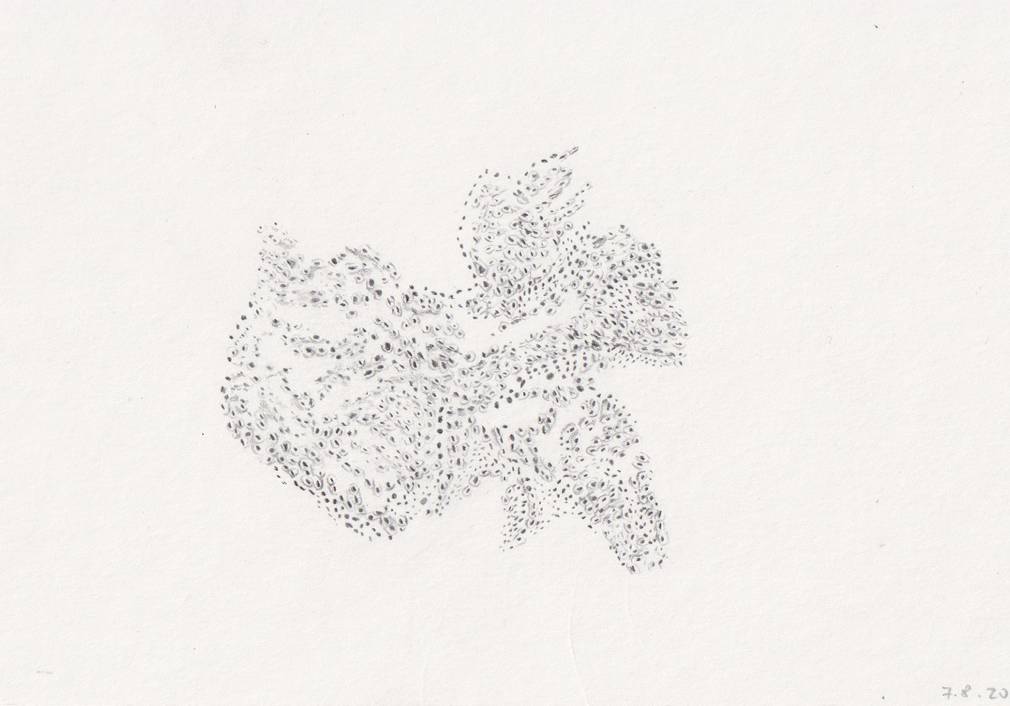 Natalia Blanch, Minimal Drawings
