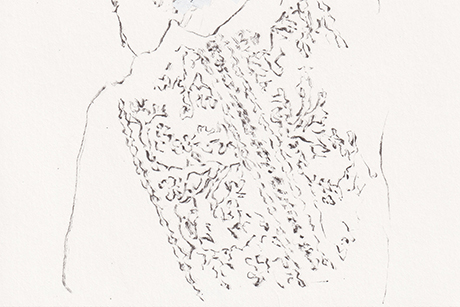 Natalia Blanch, Minimal Drawings
