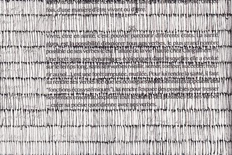 Natalia Blanch, Minimal Drawings