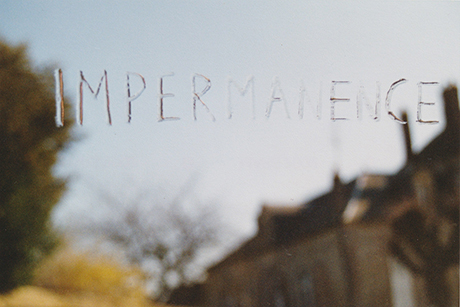 Natalia Blanch, Impermanencia-Impermanence