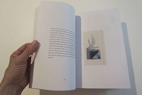 Natalia Blanch, Des champs des puits book