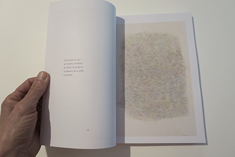 Natalia Blanch, Des champs des puits book