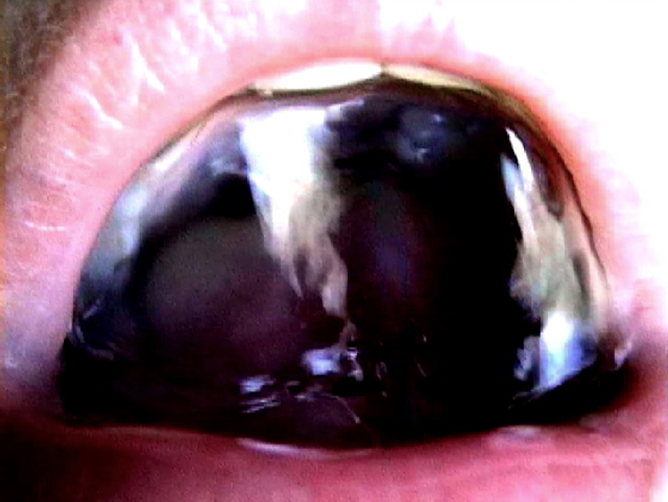 Natalia Blanch, Impermanencia-Impermanence exhibition
