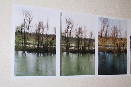 Natalia Blanch, Impermanencia-Impermanence exhibition
