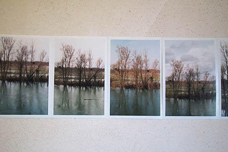 Natalia Blanch, Impermanencia-Impermanence exhibition