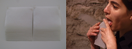 Natalia Blanch, Impermanencia-Impermanence exhibition