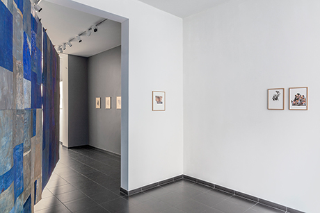 Natalia Blanch, Traits d'union exhibition