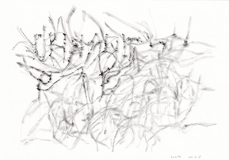 Natalia Blanch, Chaque jour qui passe from Des champs des puits project