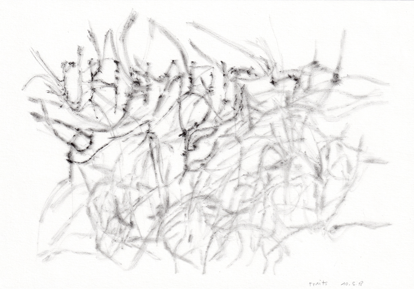 Natalia Blanch, Chaque jour qui passe from Des champs des puits project
