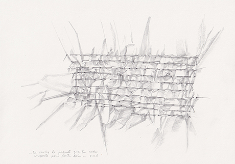 Natalia Blanch, Tu descends from Des champs des puits project