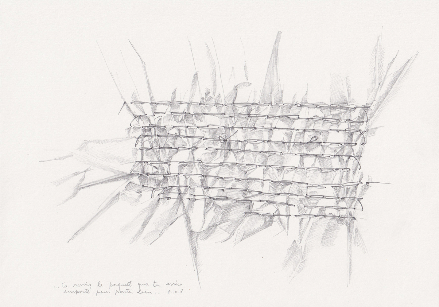 Natalia Blanch, Tu descends from Des champs des puits project