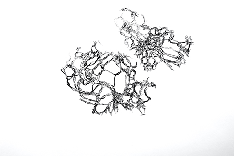 Natalia Blanch, La trame des mots