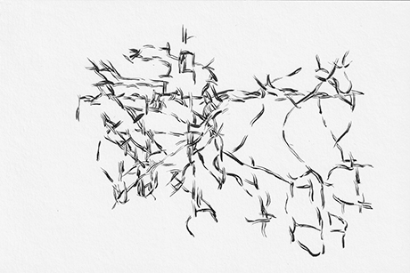 Natalia Blanch, La trame des mots