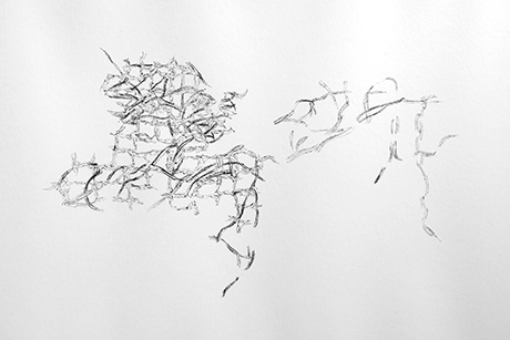 Natalia Blanch, La trame des mots