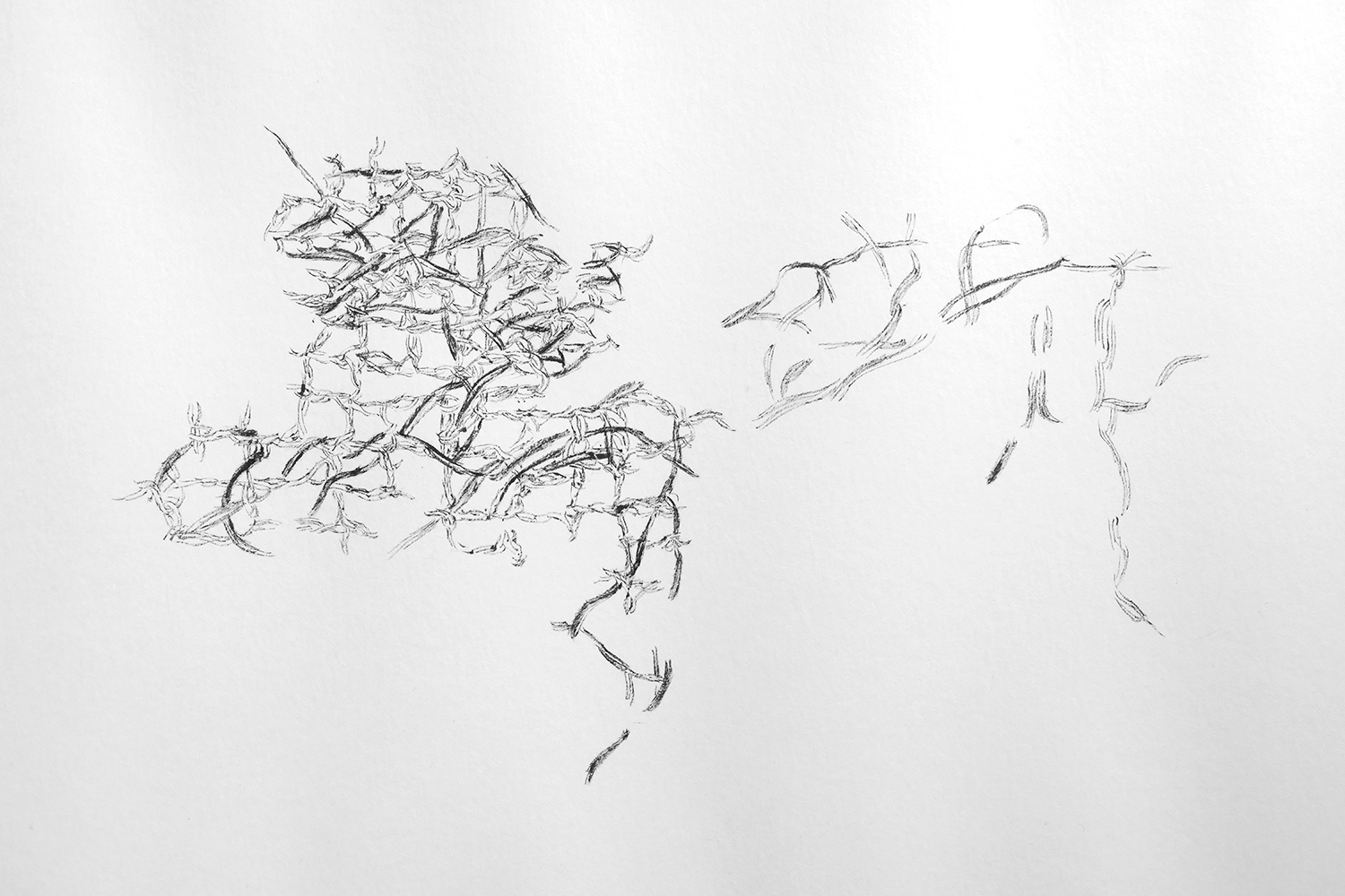 Natalia Blanch, La trame des mots