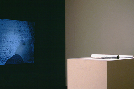 Natalia Blanch, Precarious Bodies