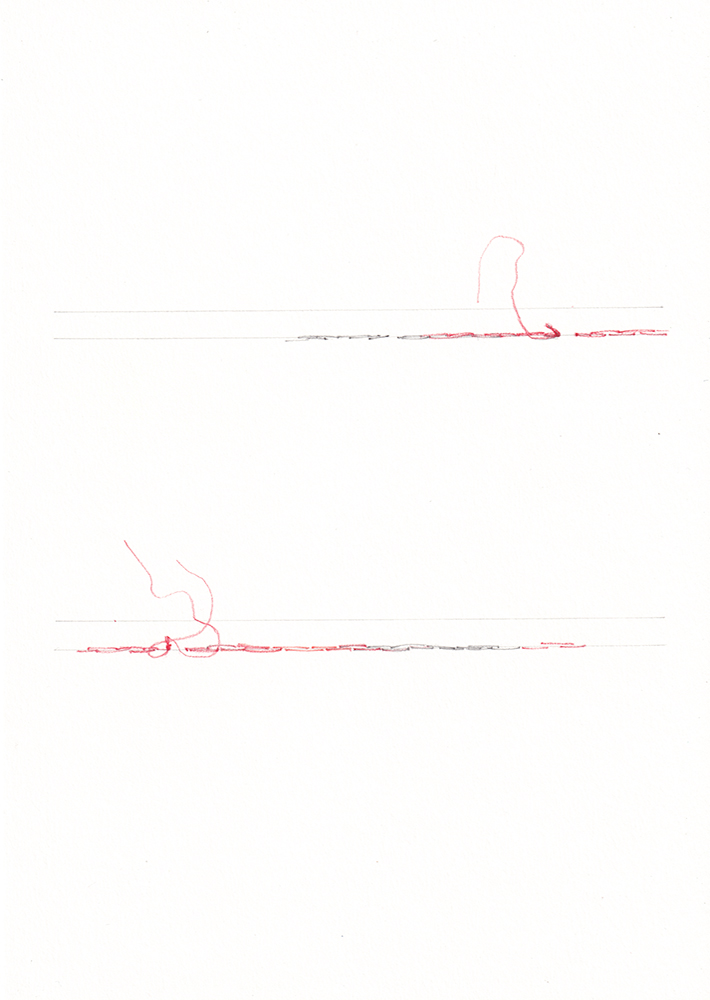 Natalia Blanch, Choreography Notations